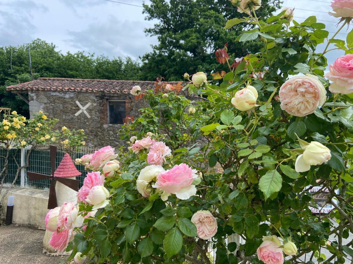 Le Petit Moulin Otel Pouzauges Dış mekan fotoğraf