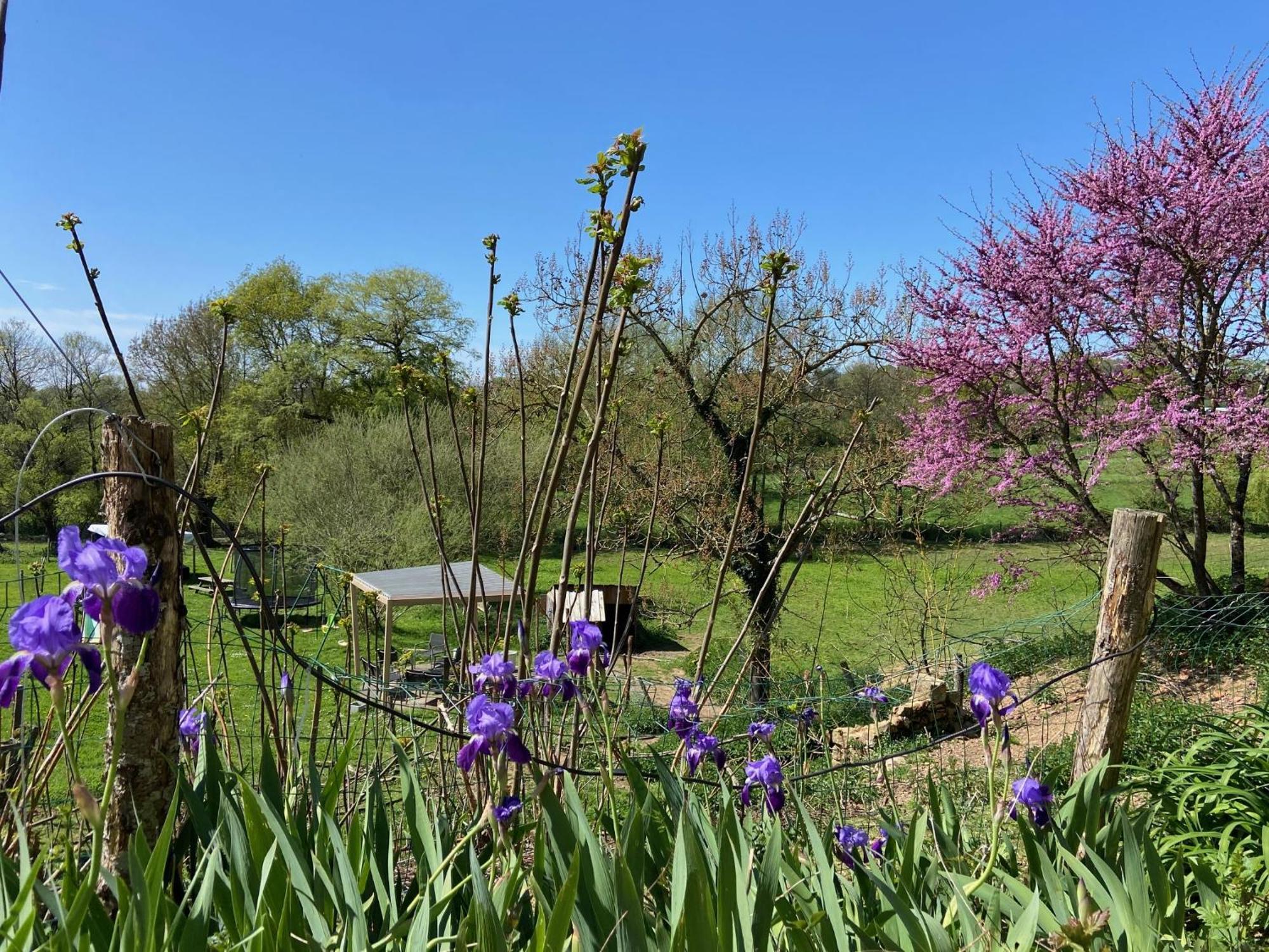 Le Petit Moulin Otel Pouzauges Dış mekan fotoğraf
